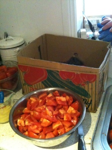 Chopped tomatoes ready and the discard box in the background