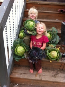 Allegra holding Purpley with Jas and the rest of the ready green cabbages .