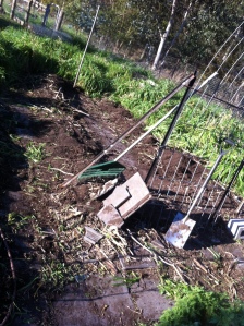 2 beds partly cleared and also partly sown - carrots, snap peas and some very early pumpkin seeds.