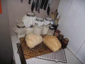 2 loaves of bread, both long fermented sourdough and the jars from left to right are milk kefir 1st ferment, sourdough starter on top of 2nd ferment kefir, 2 quart jars of milk fermenting for cheese making and the small jar with the black lid is sourdough starter for a friend.